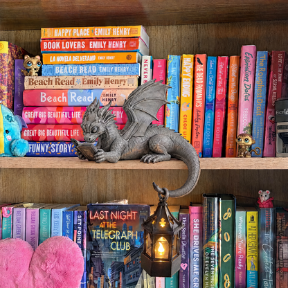 Night Reader